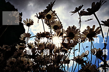 有欠網(wǎng)貸上百萬(wàn)的嗎(欠網(wǎng)貸一萬(wàn)多)
