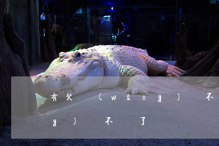 有欠網(wǎng)貸不換的嗎(網(wǎng)貸不換了)