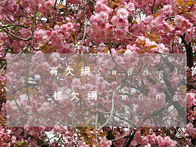 有欠網(wǎng)貸不還會(huì)怎樣(欠網(wǎng)貸不還錢會(huì)怎么樣)