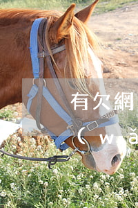 有欠網(wǎng)貸只還本金的嗎(有欠網(wǎng)貸只還本金的嗎)