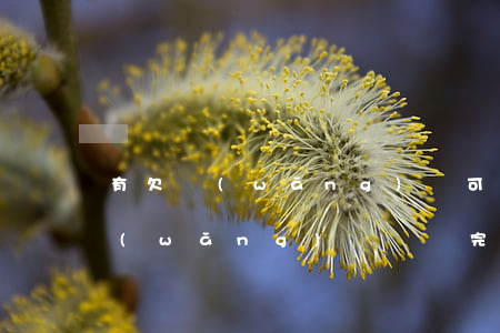 有欠網(wǎng)貸可以改名嗎(改名了網(wǎng)貸沒還完怎么辦)