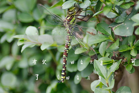 有欠網(wǎng)貸可以辦車貸嗎(如果欠了網(wǎng)貸還可以申請(qǐng)辦理車貸嗎)