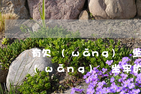 有欠網(wǎng)貸坐牢的嗎(有沒有欠網(wǎng)貸坐牢的)