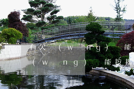 有欠網(wǎng)貸能買一手房嗎(欠了網(wǎng)貸能按揭買房嗎)