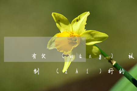有欠網(wǎng)貸被強(qiáng)制執(zhí)行的嗎(欠網(wǎng)貸法院會(huì)強(qiáng)制執(zhí)行嗎)