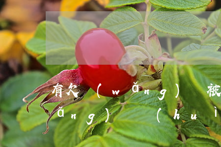 有欠網(wǎng)貸被起訴的嗎(欠網(wǎng)貸會(huì)被法院起訴嗎)