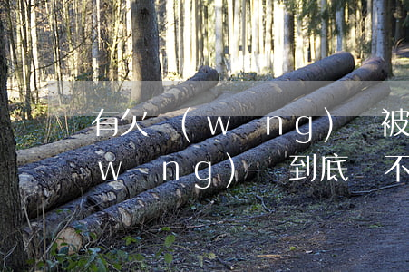 有欠網(wǎng)貸被起訴過的么(欠網(wǎng)貸到底會不會被起訴)