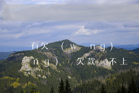 有欠網(wǎng)貸還不出的嗎(網(wǎng)貸欠款還不上)