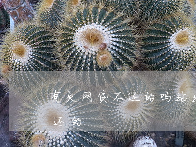 有欠网贷不还的吗站出来(有没有人欠网贷不还的)