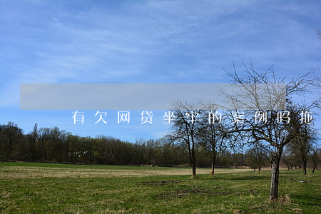 有欠网贷坐牢的案例吗(拖欠网贷会坐牢吗)