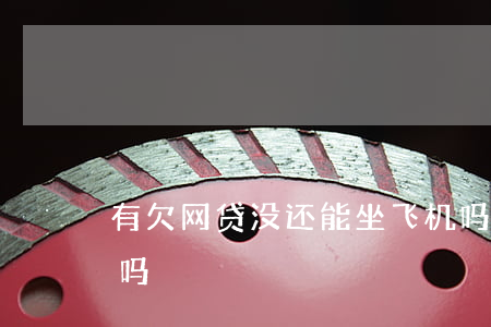 有欠网贷没还能坐飞机吗(欠了网贷能坐飞机吗)