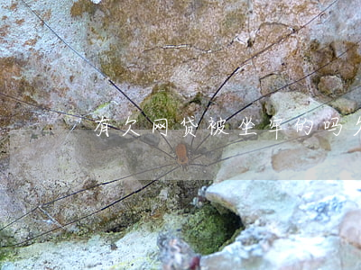 有欠网贷被坐牢的吗(欠网贷要坐牢吗)
