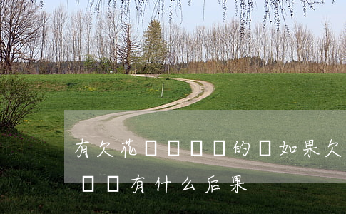 有欠花唄沒錢還的嗎(如果欠支付寶花唄的錢沒還有什么后果)