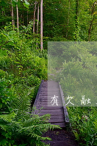 有欠融360不還的嗎(融360無法還款)