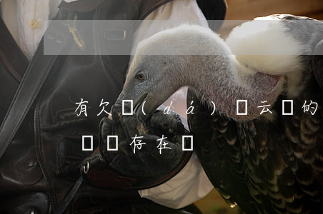 有欠達(dá)飛云貸的嗎(達(dá)飛云貸還存在嗎)
