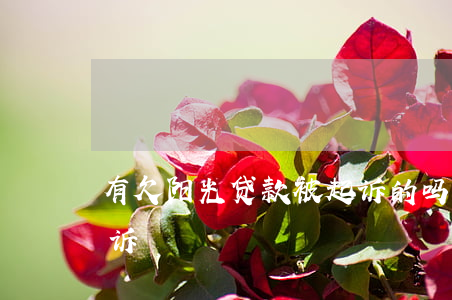 有欠阳光贷款被起诉的吗（阳光信贷逾期被起诉）
