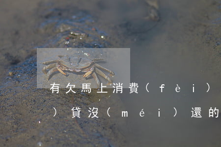 有欠馬上消費(fèi)金融網(wǎng)貸沒(méi)還的嗎(馬上消費(fèi)金融是什么網(wǎng)貸,合法嗎)