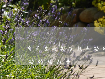 有正在逾期贷款成功的吗(有正在逾期贷款成功的吗知乎)