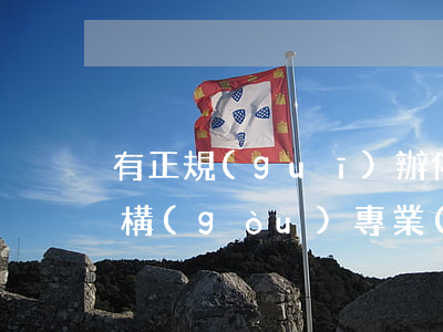 有正規(guī)辦停息掛賬的機(jī)構(gòu)(專業(yè)辦理停息掛賬)