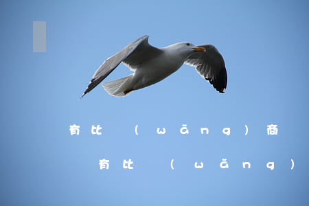 有比網(wǎng)商貸利息更低的嗎-有沒有比網(wǎng)商貸更低的