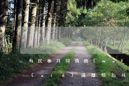 有民事共同債務(wù)糾紛可以離婚嗎(協(xié)議離婚后共同債務(wù)能否單獨起訴)