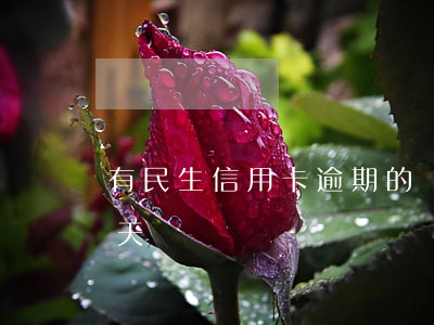 有民生信用卡逾期的嗎-民生信用卡 逾期一天