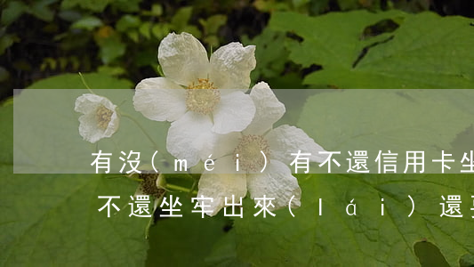 有沒(méi)有不還信用卡坐牢的(信用卡不還坐牢出來(lái)還要還嗎)