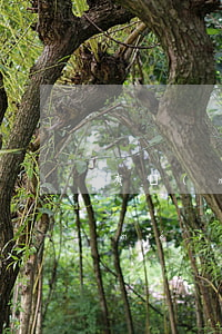 有沒(méi)有信用卡逾期1年的(有沒(méi)有信用卡逾期兩年以上的)