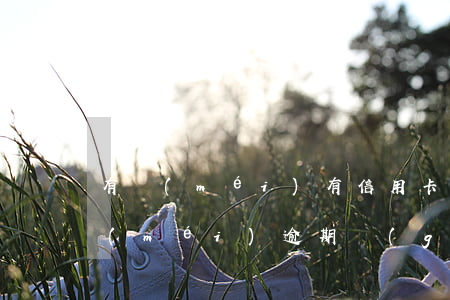 有沒(méi)有信用卡逾期不用償還的(沒(méi)逾期過(guò)為什么不能申請(qǐng)信用卡)