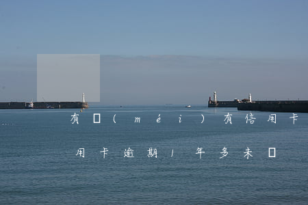 有沒(méi)有信用卡逾期兩年以上的（信用卡逾期1年多未還）