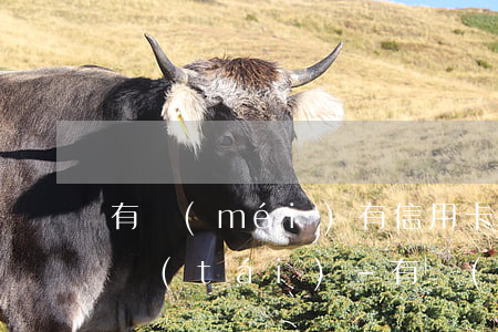 有沒(méi)有信用卡逾期半年的貸款平臺(tái)-有沒(méi)有信用卡逾期半年的貸款平臺(tái)啊