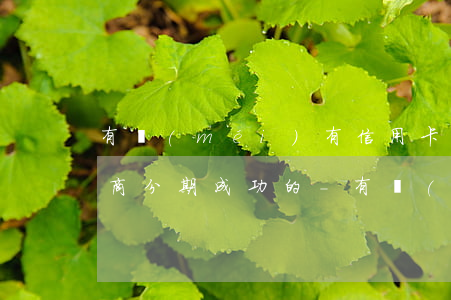 有沒(méi)有信用卡逾期協(xié)商分期成功的-有沒(méi)有信用卡逾期協(xié)商分期成功的人