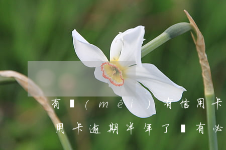 有沒(méi)有信用卡逾期幾年不還的（信用卡逾期半年了還有必要還嗎）