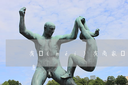 有沒(méi)有商家獨(dú)立分期免息