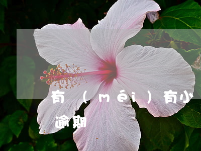 有沒(méi)有小當(dāng)家貸款逾期