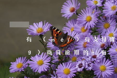 有沒(méi)有支付寶花唄和網(wǎng)商貸逾期的-有沒(méi)有支付寶花唄和網(wǎng)商貸逾期的人