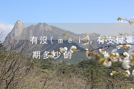 有沒(méi)有支付寶逾期的（支付寶有逾期多少的）