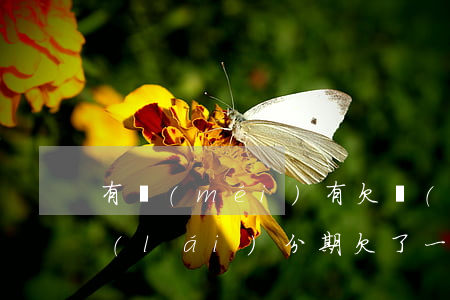 有沒(méi)有欠來(lái)分期的(來(lái)分期欠了一年多)