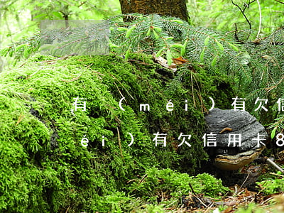 有沒(méi)有欠信用卡8年的(有沒(méi)有欠信用卡8年的人員)