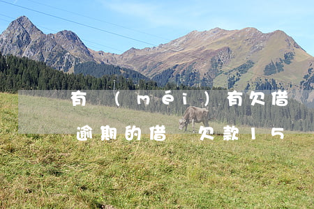 有沒(méi)有欠借唄幾十萬(wàn)逾期的(借唄欠款15萬(wàn)長(zhǎng)時(shí)間逾期)