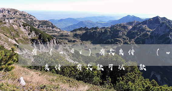 有沒(méi)有欠支付寶網(wǎng)貸(支付寶有欠款可以貸款嗎)
