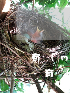 有沒(méi)有網(wǎng)貸逾期群-有沒(méi)有網(wǎng)貸逾期群發(fā)短信