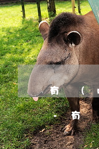 有沒(méi)有跟宜信協(xié)商的-有沒(méi)有跟宜信協(xié)商的平臺(tái)