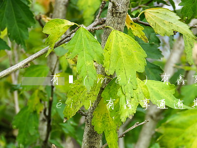 有沒(méi)有鑫享通逾期的-有沒(méi)有鑫享通逾期的