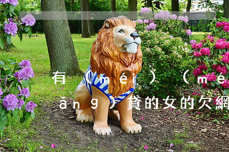 有沒(méi)沒(méi)女的欠網(wǎng)貸的(女的欠網(wǎng)貸二十多萬(wàn))