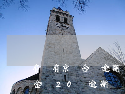 有沒有京東金條逾期幾萬暫時還不上的（京東金條20萬逾期）