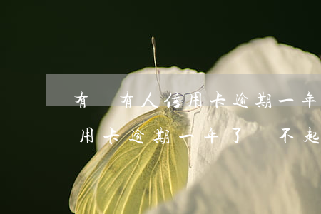 有沒有人信用卡逾期一年被起訴的 為什么信用卡逾期一年了,還不起訴