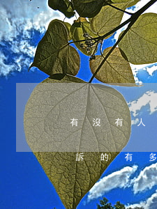 有沒有人借唄逾期了被起訴的?（借唄逾期被起訴的有多少）