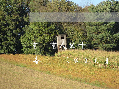有沒有人欠十幾個網(wǎng)貸來回倒(各種網(wǎng)貸欠了10幾萬)