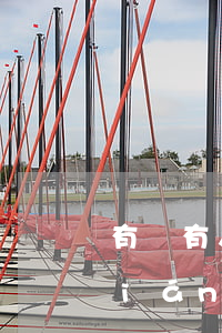 有沒有人欠網(wǎng)貸被法院強(qiáng)制執(zhí)行的-有沒有人欠網(wǎng)貸被法院強(qiáng)制執(zhí)行的呢